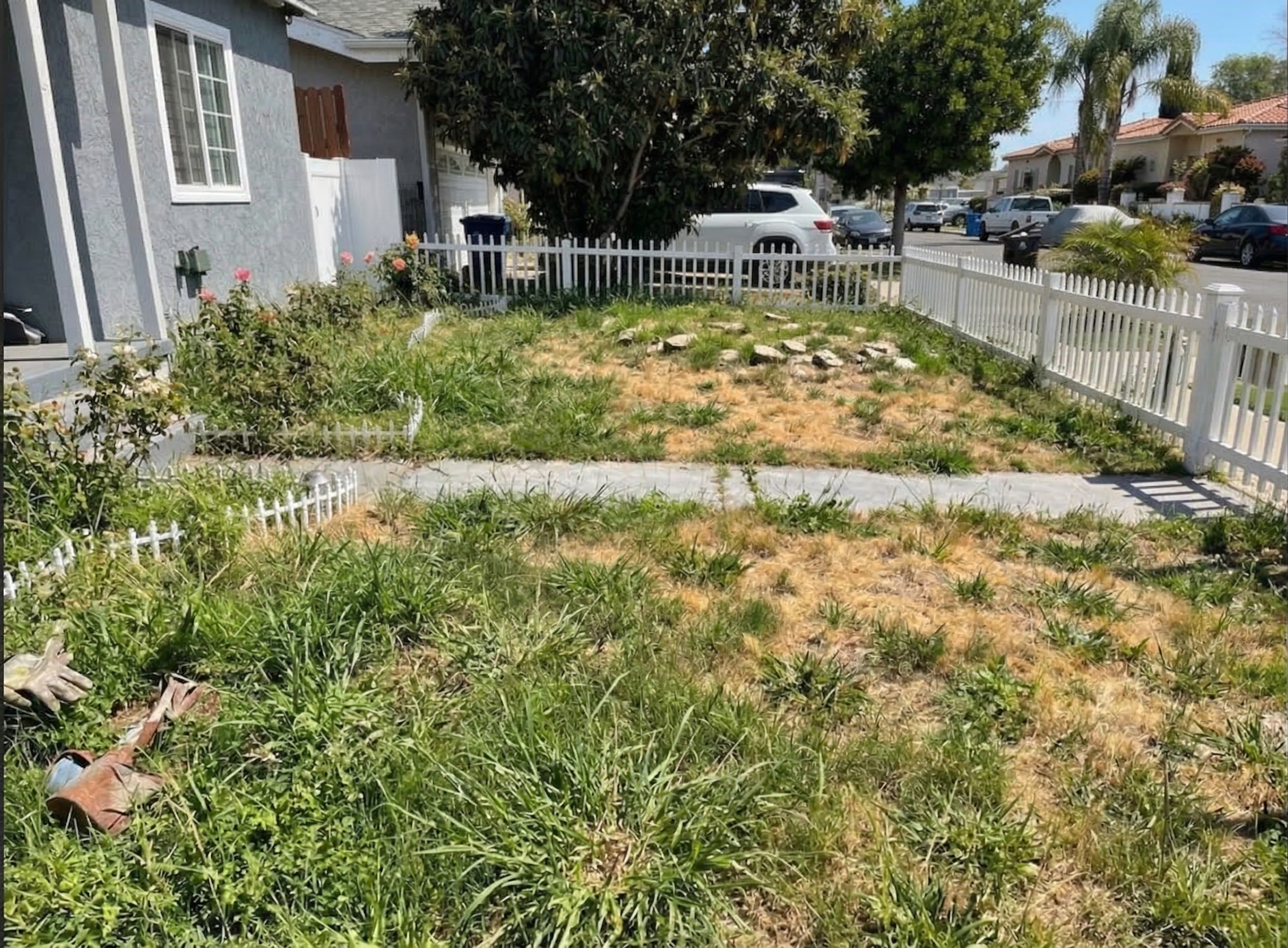 Landscape Architecture Before